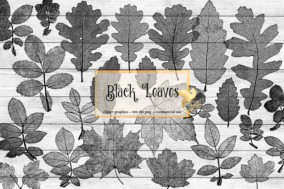 Black Leaf Clipart in Illustrations - product preview 8