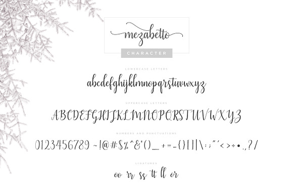 Mezabetto | Elegant Script Font in Elegant Fonts - product preview 5