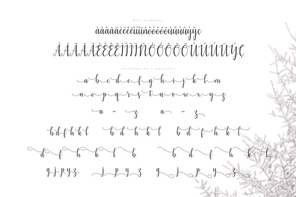 Mezabetto | Elegant Script Font in Elegant Fonts - product preview 6