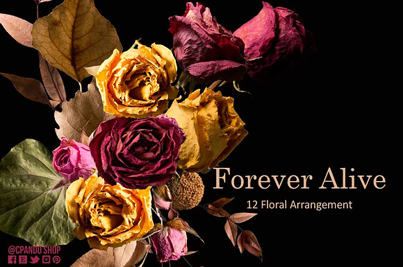 Forever Alive Floral Clip Art in Illustrations - product preview 1