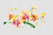 Bouquet yellow orchid flower PNG set