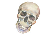 One skull PNG watercolor set