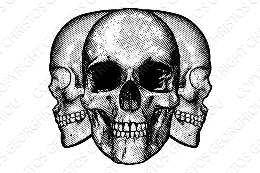 Skulls Graphic Design