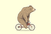 bear is riding a bicycle