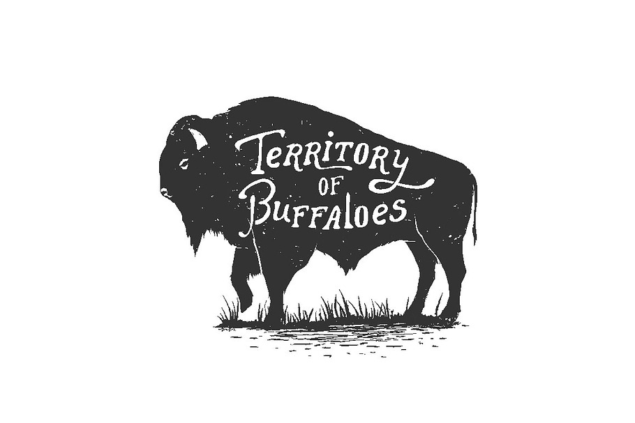 Territory of buffaloes in Illustrations - product preview 8