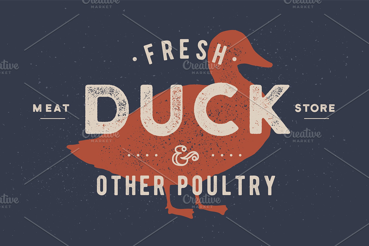 Duck meat. Poster for Butchery meat in Illustrations - product preview 8
