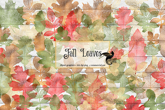 Fall Leaves Clipart in Illustrations - product preview 1