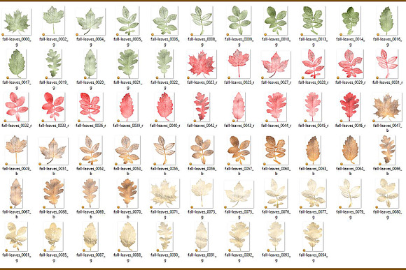 Fall Leaves Clipart in Illustrations - product preview 2