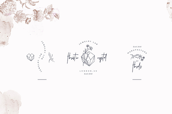 Logos Bundle. Modern Flora. in Logo Templates - product preview 6