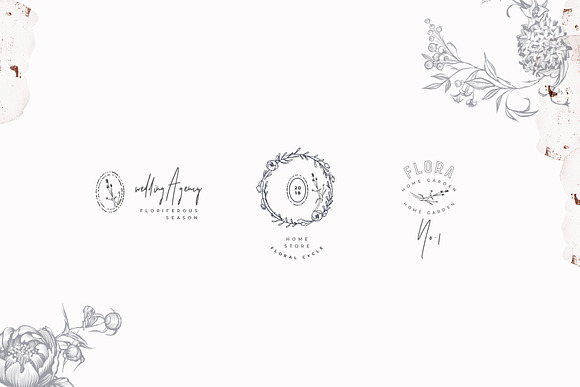 Logos Bundle. Modern Flora. in Logo Templates - product preview 9