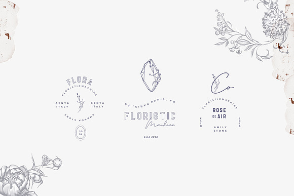 Logos Bundle. Modern Flora. in Logo Templates - product preview 10