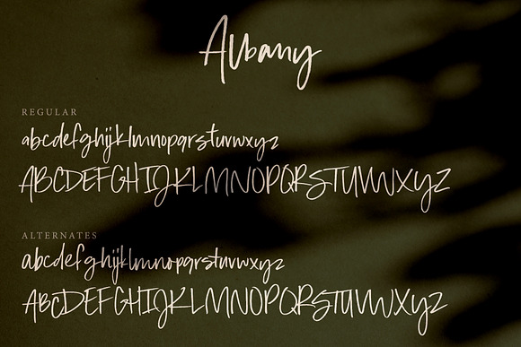 Albany | An Autumn Script in Halloween Fonts - product preview 5