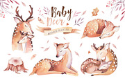 Cute baby deer collection