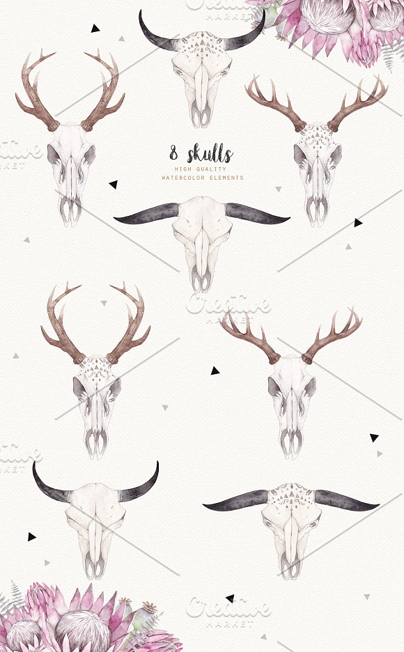 BOHO SKULLS watercolor set in Illustrations - product preview 2