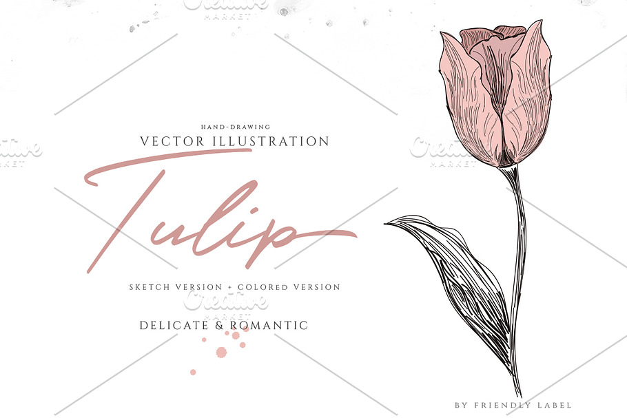 VINTAGE TULIP ILLUSTRATION in Illustrations - product preview 8