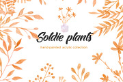 Goldie Plants Collection