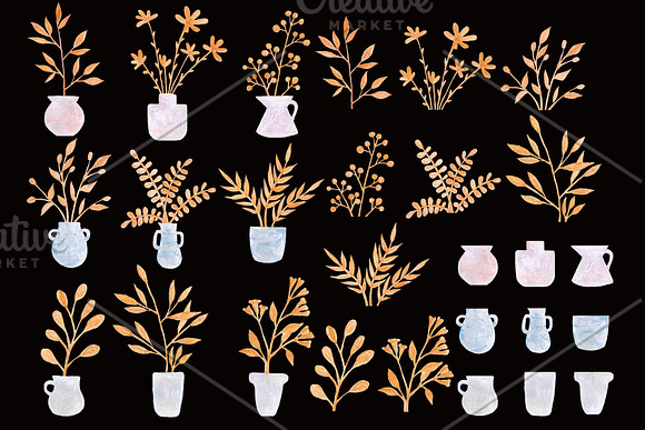 Goldie Plants Collection in Illustrations - product preview 3