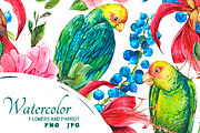 Tropical Flowers and Green Parrot