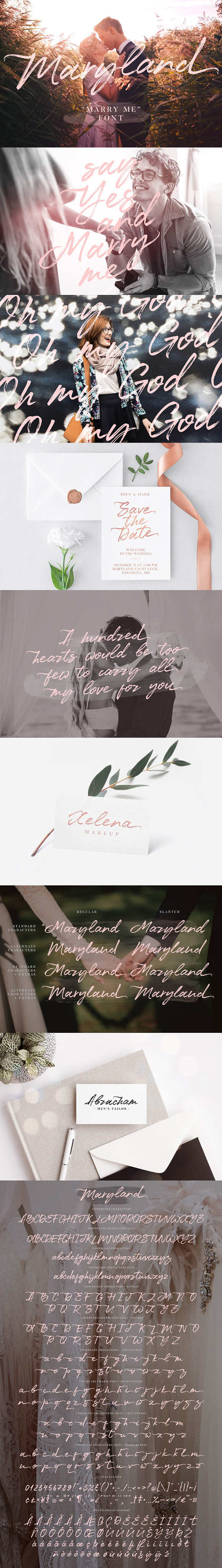 Maryland Wedding Font in Wedding Fonts - product preview 10