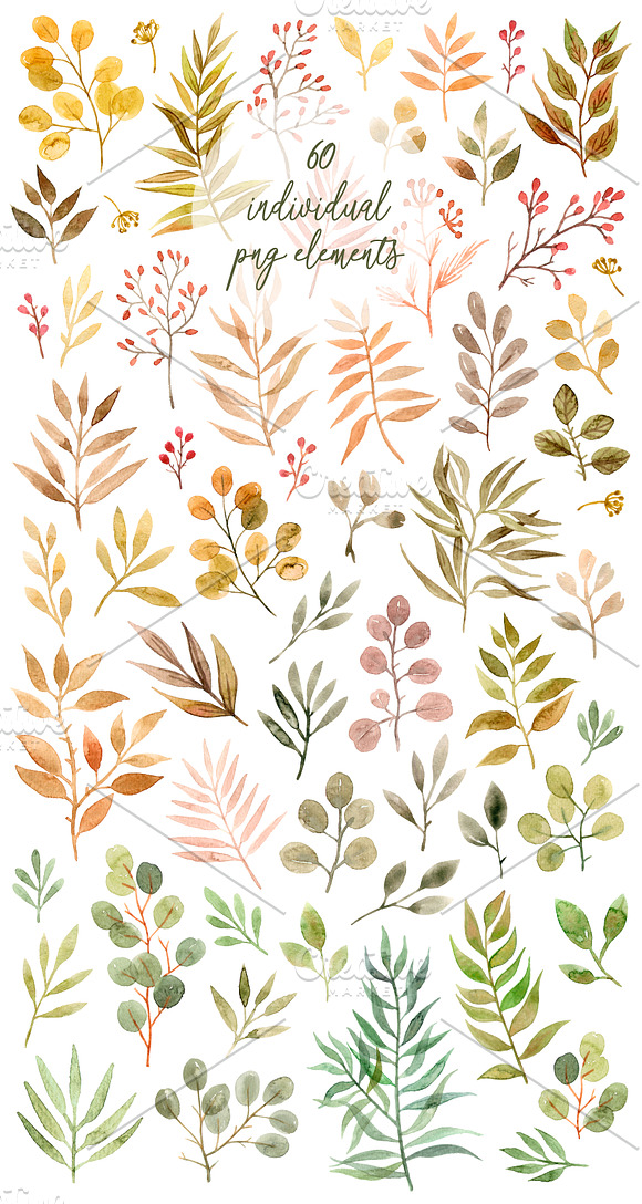 Herbal Autumn. Watercolor Set in Illustrations - product preview 7