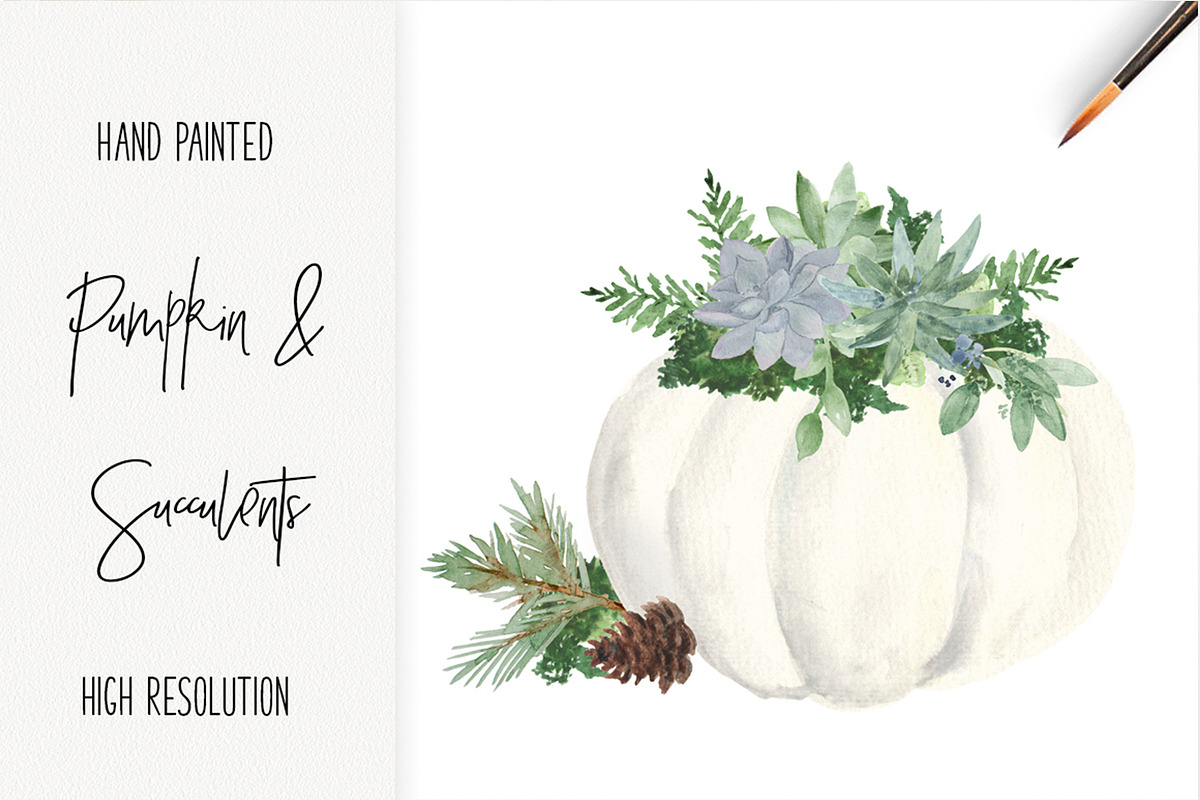 White Pumpkin Succulent Watercolor in Illustrations - product preview 8