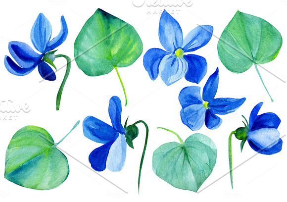 Violets and lily of the valley in Illustrations - product preview 2