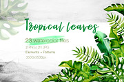 Succulent Tropical leaves PNG set