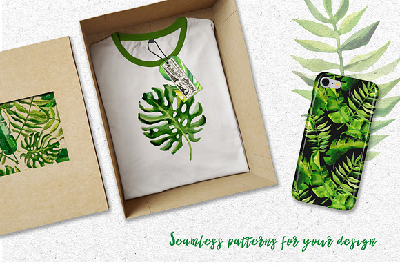 Succulent Tropical leaves PNG set in Illustrations - product preview 1