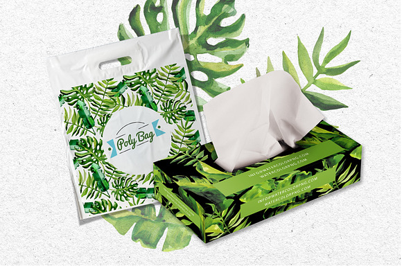 Succulent Tropical leaves PNG set in Illustrations - product preview 2