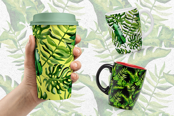Succulent Tropical leaves PNG set in Illustrations - product preview 4