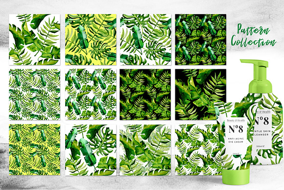 Succulent Tropical leaves PNG set in Illustrations - product preview 7