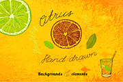 Hand Drawn Citrus Set