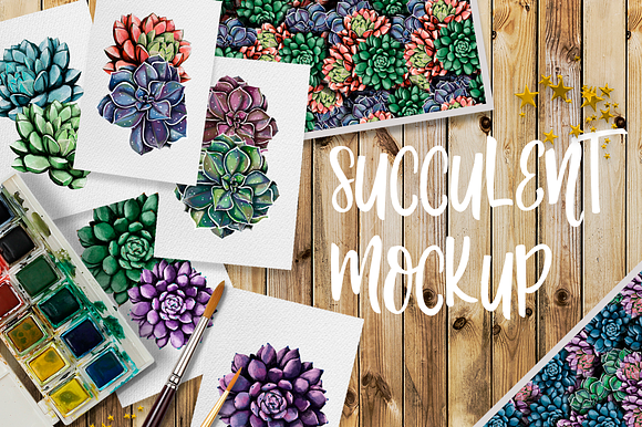 Succulent mockup on transparent back in Illustrations - product preview 2
