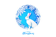 White rabbit in snowy frame. Merry