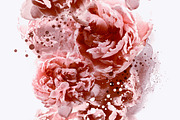 pattern with peonies | JPEG