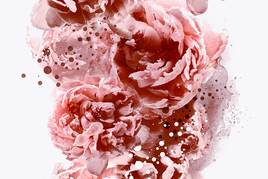 pattern with peonies | JPEG in Patterns - product preview 8