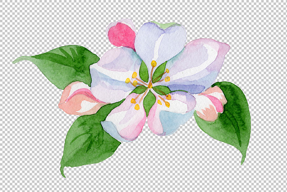 Apple blossom PNG watercolor set in Illustrations - product preview 4