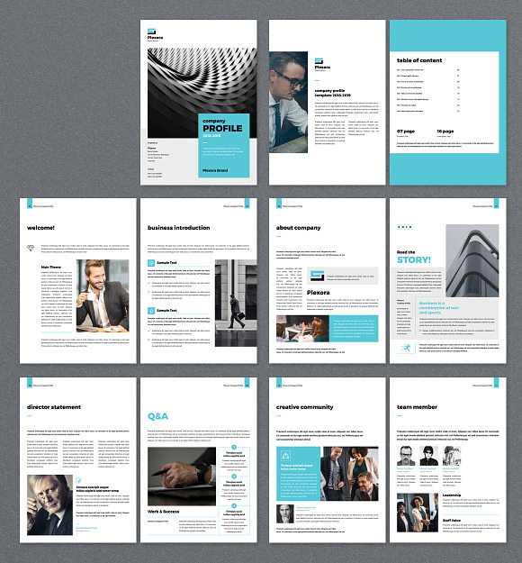 Company Profile in Brochure Templates - product preview 1
