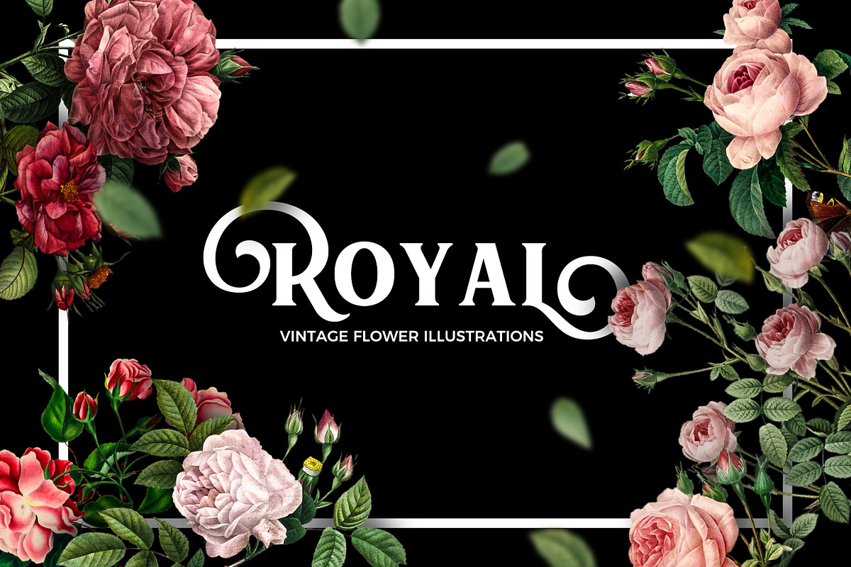 Vintage Flower Illustrations Bundle in Objects - product preview 8