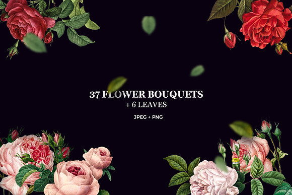 Vintage Flower Illustrations Bundle in Objects - product preview 1