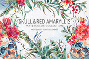 Watercolor skull and red amaryllis