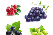 Realistic berries set