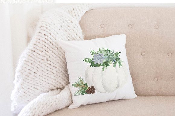 White Pumpkin Succulent Watercolor in Illustrations - product preview 1