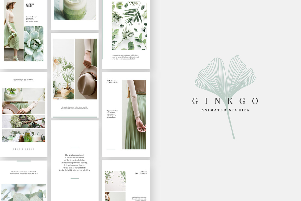Ginkgo Animated Instagram Stories in Instagram Templates - product preview 8