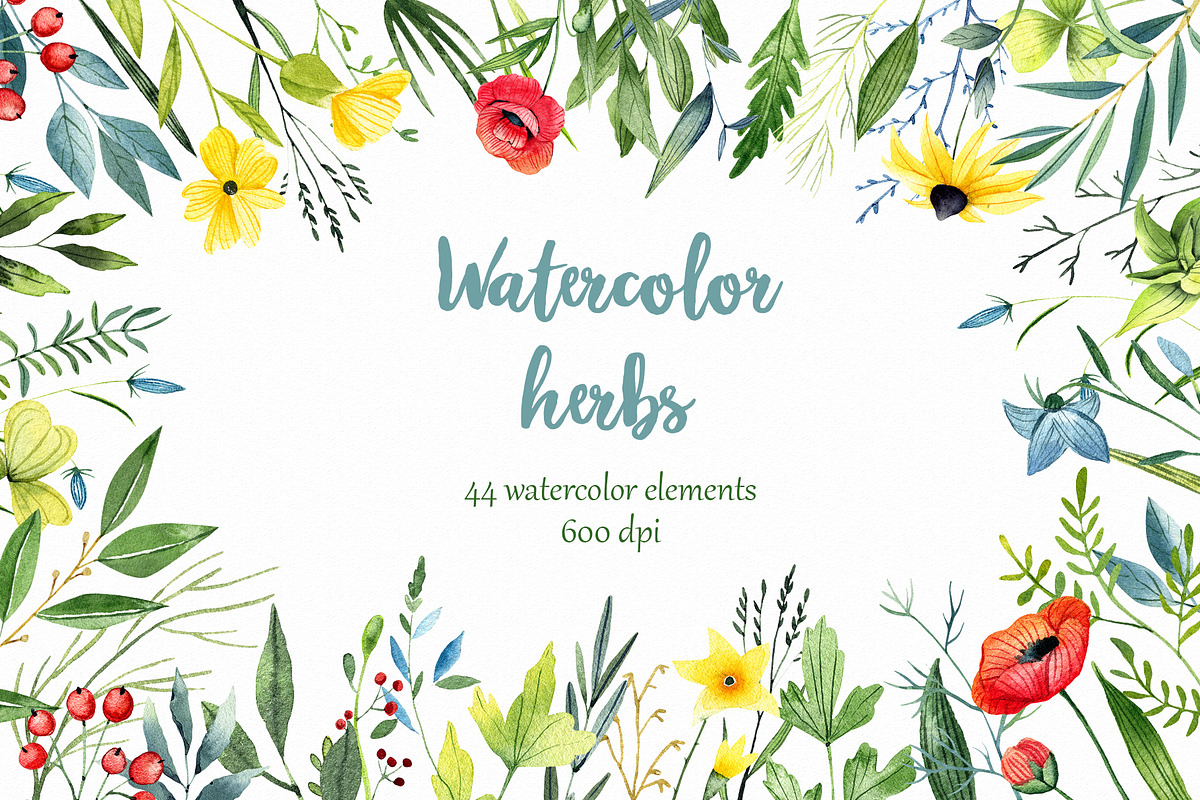 Watercolor Herbs in Illustrations - product preview 8