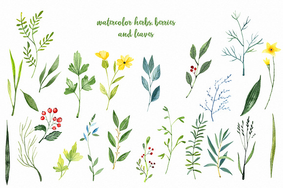 Watercolor Herbs in Illustrations - product preview 1