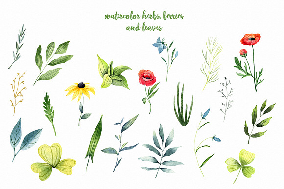 Watercolor Herbs in Illustrations - product preview 2