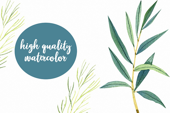 Watercolor Herbs in Illustrations - product preview 3