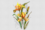 Bouquet of yellow irises PNG set