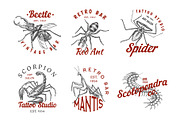 Set of insects logos. Vintage